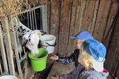 Grupas "Sarkangalvīte" pirmais ceļojums