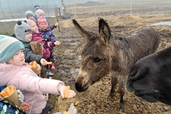 Ekskursija uz mini Zoo “Silavas”