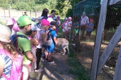 Mini Zoo “Rančo”