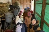 Vinnijs Pūks zemnieku saimniecībā